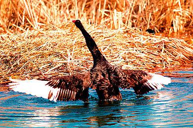 有大片既视感《暗黑破坏神4》真人上市预告